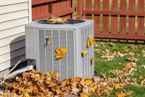 Best Best HVAC Companies  in Staples, MN